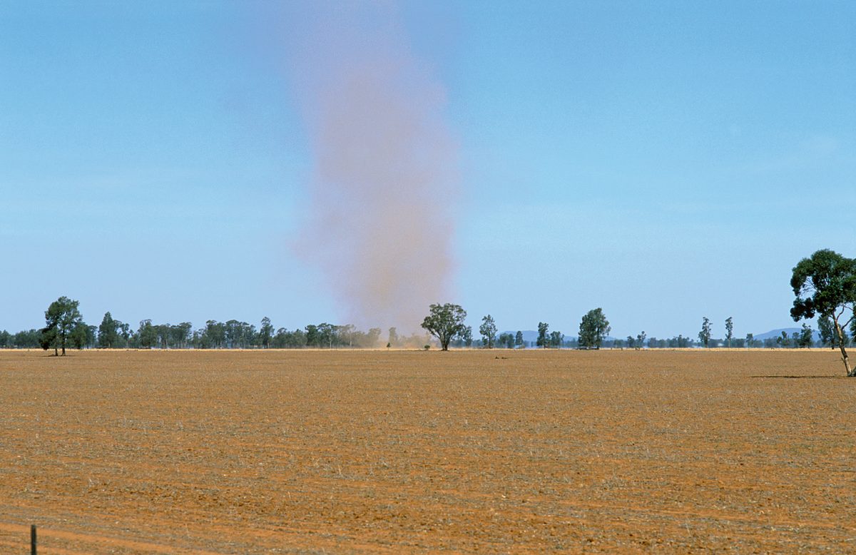 Willy willy dust storm